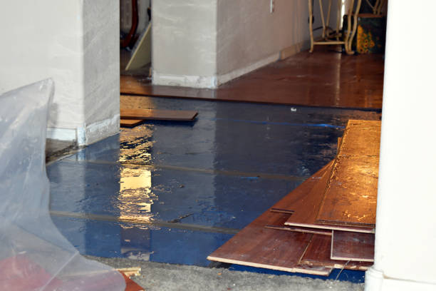 Professional Sewage Cleanup technician working in Blair, WI